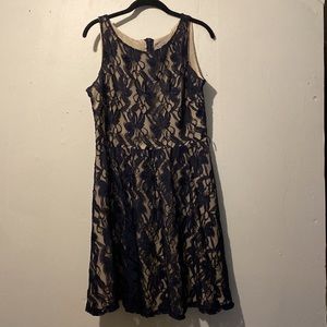 donny & nicoles lace dress